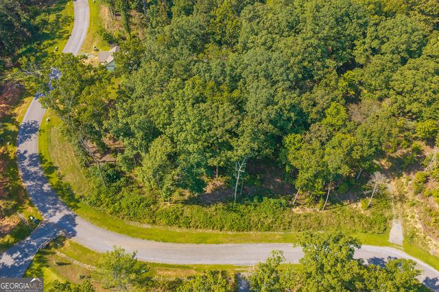 LOT 11 Lake Top Lane, Ellijay, GA 30540