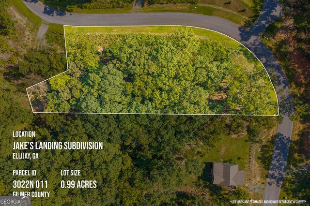 LOT 11 Lake Top Lane, Ellijay, GA 30540