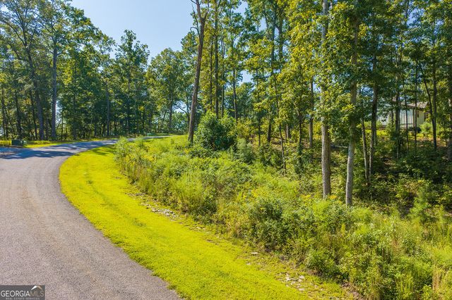 LOT 11 Lake Top Lane, Ellijay, GA 30540