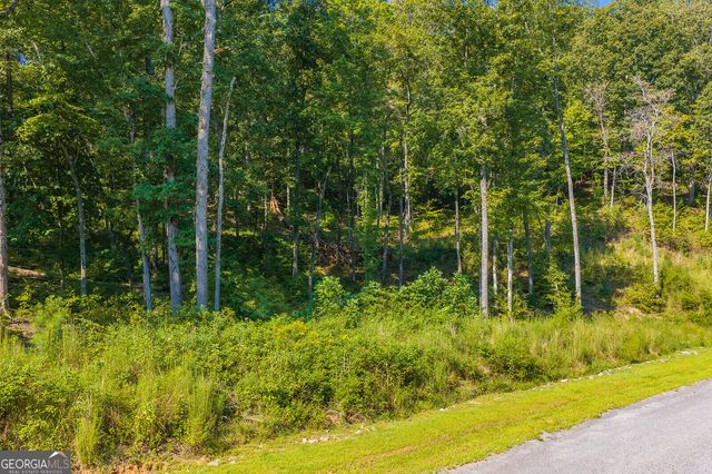 LOT 11 Lake Top Lane, Ellijay, GA 30540
