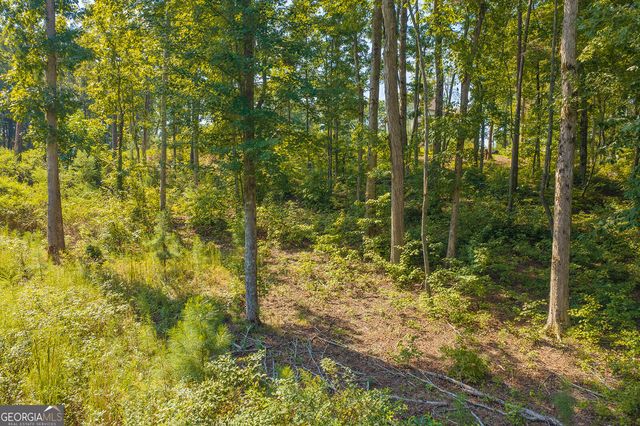 LOT 11 Lake Top Lane, Ellijay, GA 30540