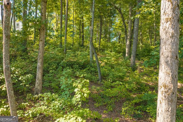 LOT 11 Lake Top Lane, Ellijay, GA 30540