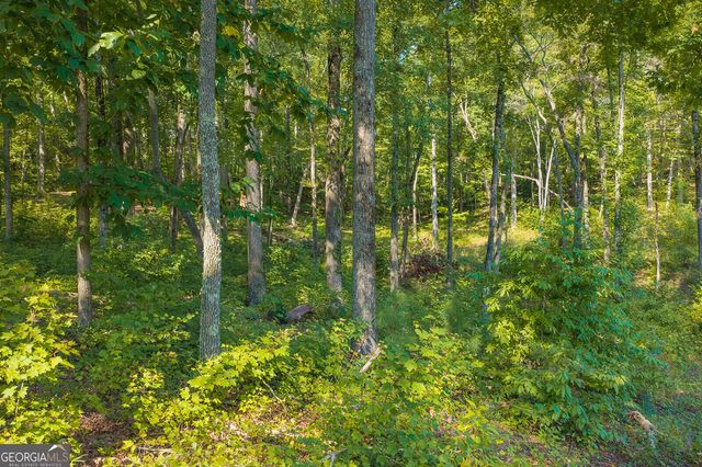 LOT 11 Lake Top Lane, Ellijay, GA 30540