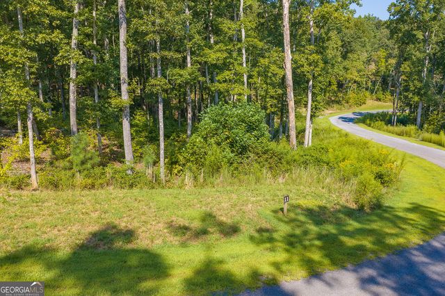 LOT 11 Lake Top Lane, Ellijay, GA 30540