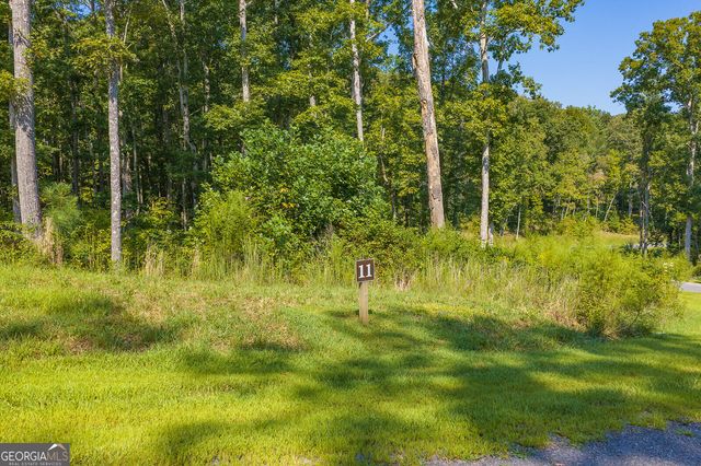 LOT 11 Lake Top Lane, Ellijay, GA 30540