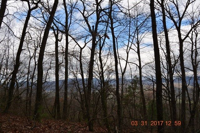 3530 Grape Creek Road, Murphy, NC 28906