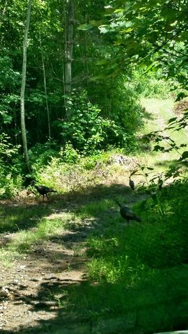 3530 Grape Creek Road, Murphy, NC 28906