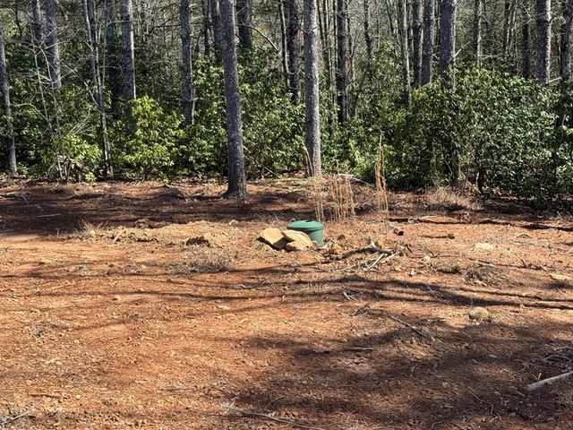 3530 Grape Creek Road, Murphy, NC 28906