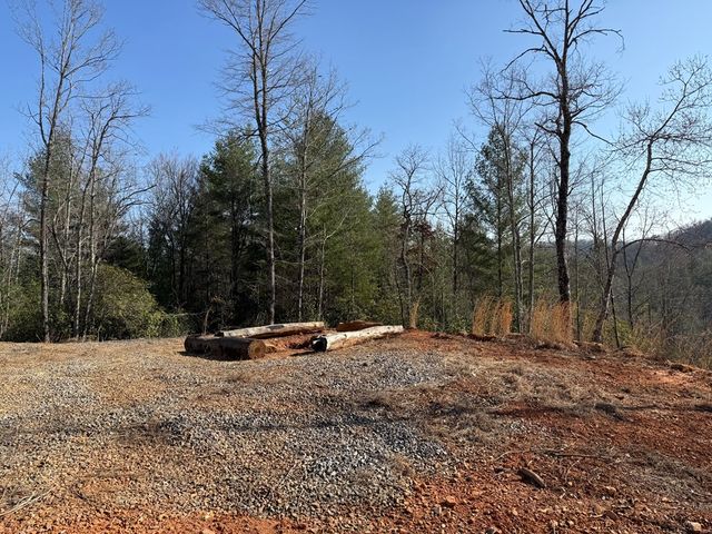 3530 Grape Creek Road, Murphy, NC 28906