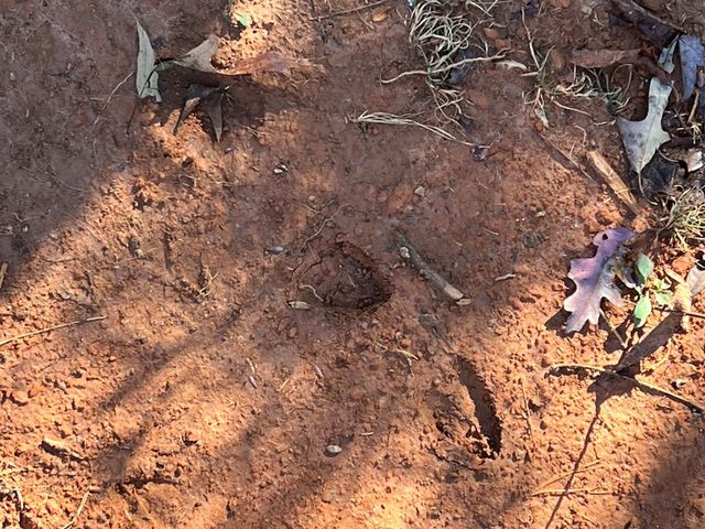 3530 Grape Creek Road, Murphy, NC 28906