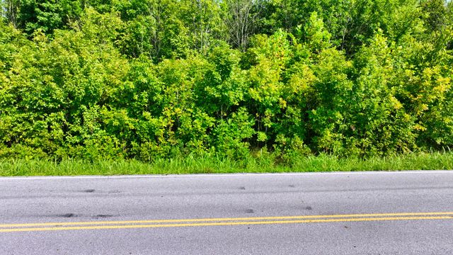 7725 Nolensville Rd, Nolensville, TN 37135