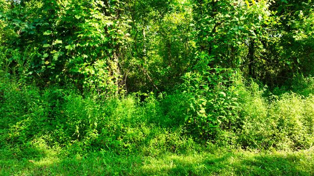 7725 Nolensville Rd, Nolensville, TN 37135