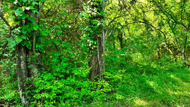 7725 Nolensville Rd, Nolensville, TN 37135