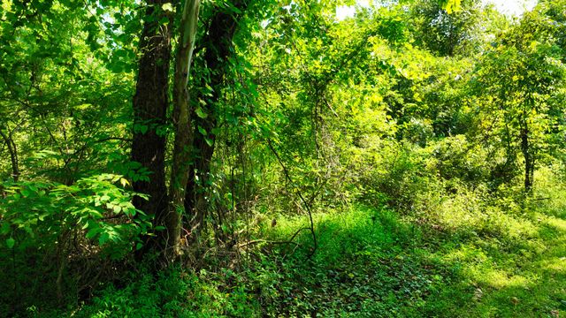 7725 Nolensville Rd, Nolensville, TN 37135