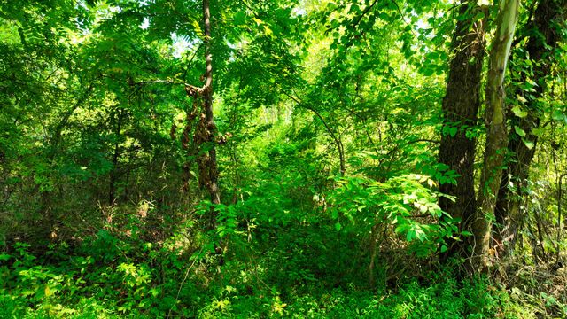 7725 Nolensville Rd, Nolensville, TN 37135