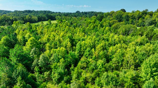 7725 Nolensville Rd, Nolensville, TN 37135