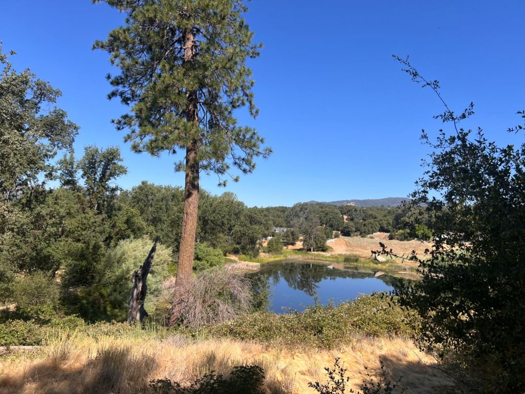Image 1 of property listing at 16 Lulniu Lane, Ahwahnee, CA 93601