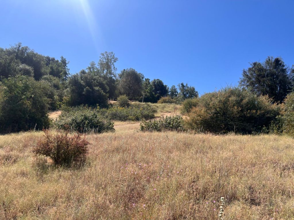 Image 4 of property listing at 16 Lulniu Lane, Ahwahnee, CA 93601