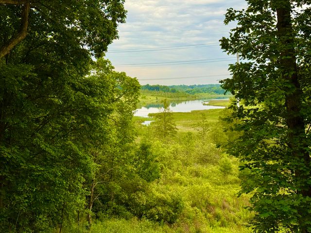 13955 Rattalee Lake Road, Springfield Twp, MI 48350