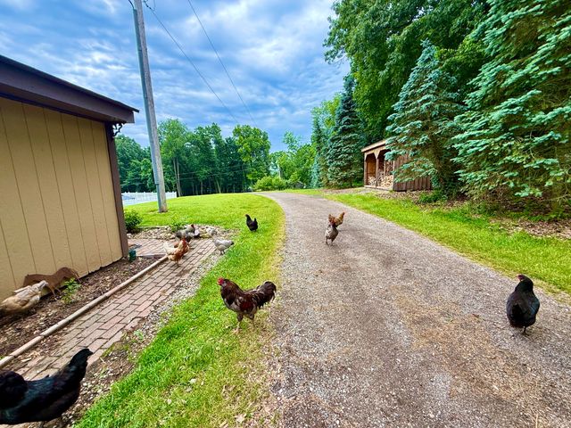 13955 Rattalee Lake Road, Springfield Twp, MI 48350