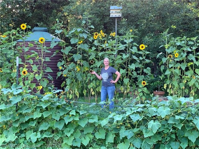 29354 Welch Loop, Heavener, OK 74937