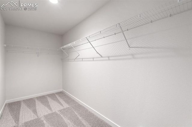 8424 William Downing Drive, Colorado Springs, CO 80908