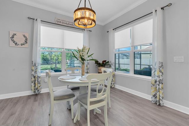 4068 BONFIRE DRIVE, Odessa, FL 33556