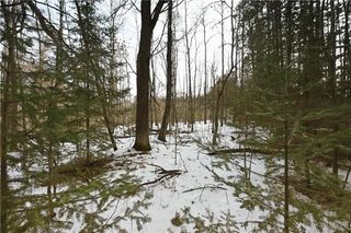 0 1st Street, Trego, WI 54888