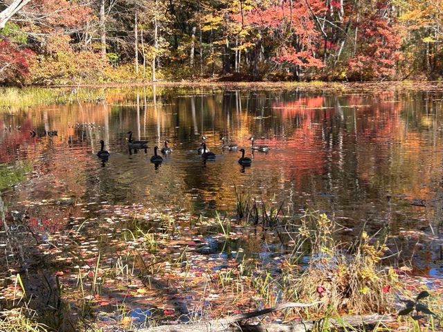 35 Martin, Douglas, MA 01516