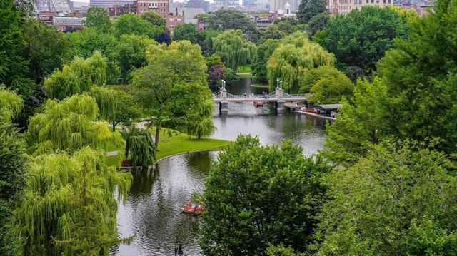 250 Boylston Street PH, Boston, MA 02116