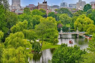 250 Boylston Street PH, Boston, MA 02116