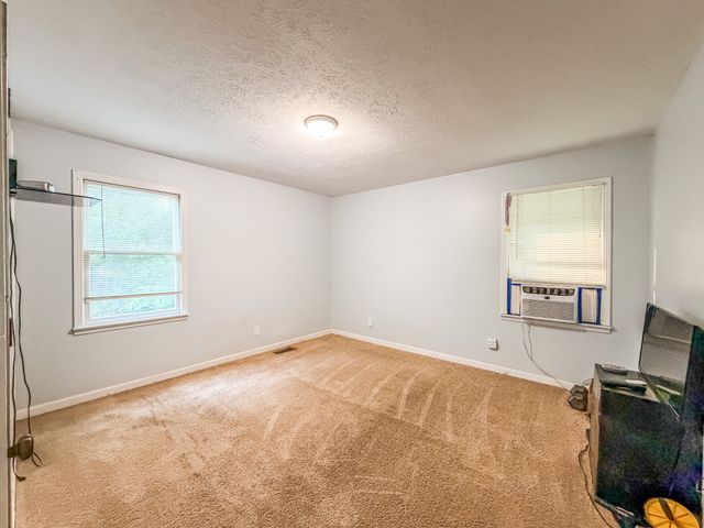120 Ulcer Hollow Rd, Waverly, TN 37185