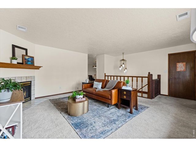 717 Oak St, Windsor, CO 80550