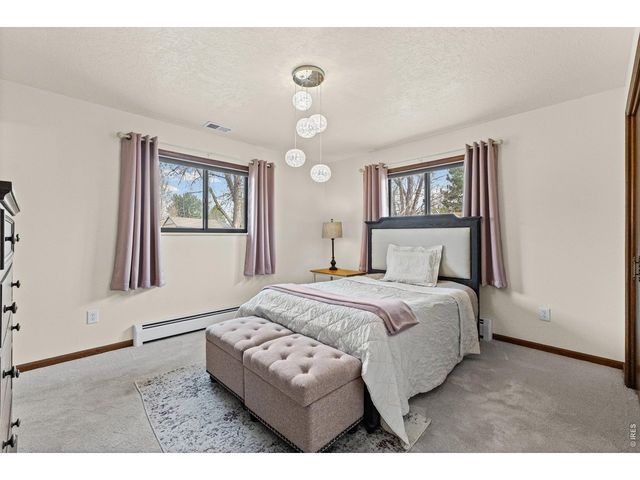 717 Oak St, Windsor, CO 80550