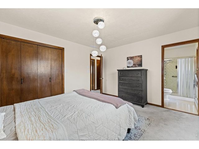 717 Oak St, Windsor, CO 80550