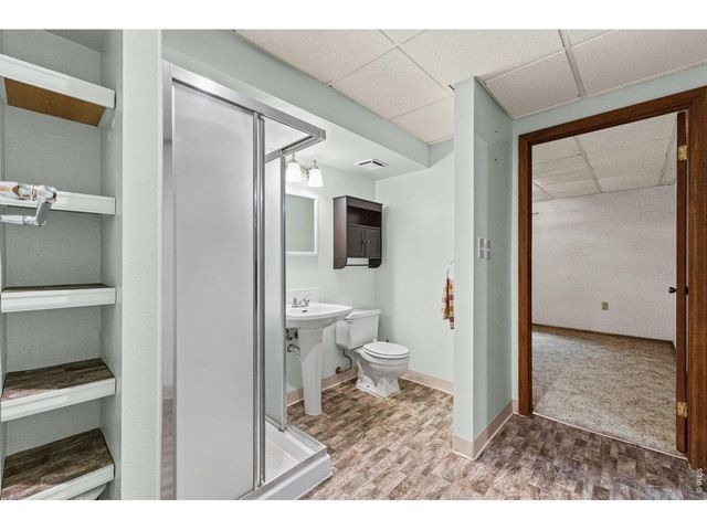 717 Oak St, Windsor, CO 80550