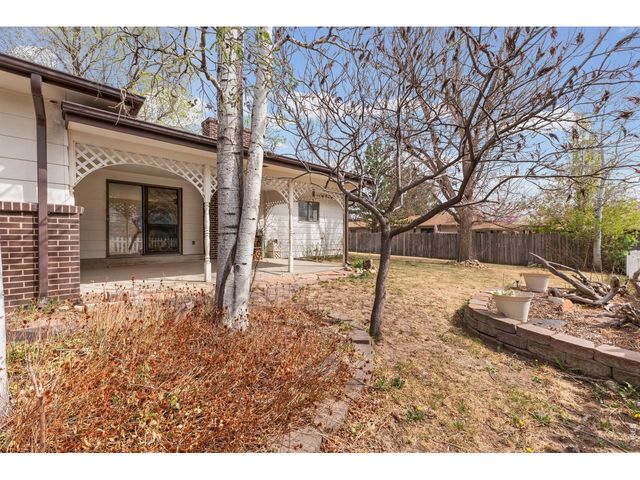 717 Oak St, Windsor, CO 80550