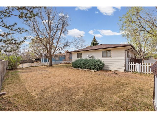 717 Oak St, Windsor, CO 80550