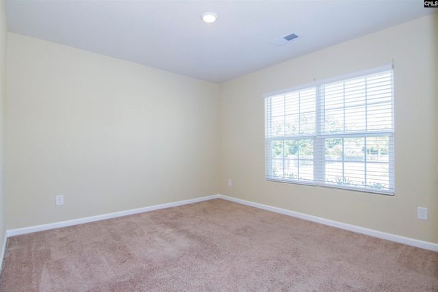 1021 Sease Garden Court, Gilbert, SC 29054