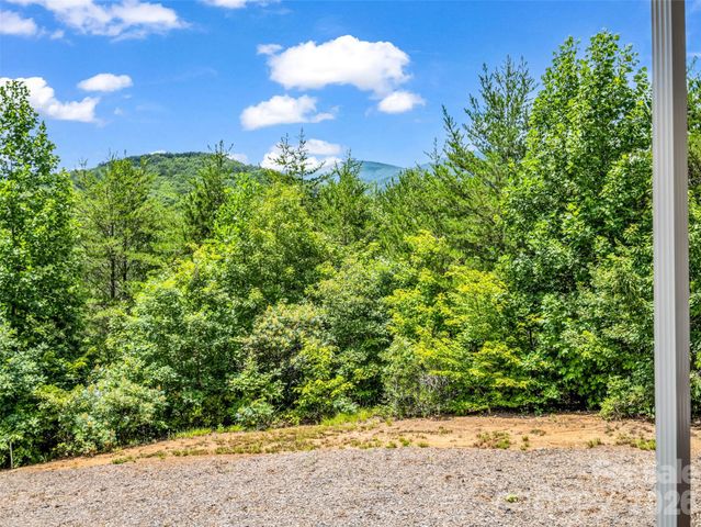 1110 Laughter Road, Mill Spring, NC 28756