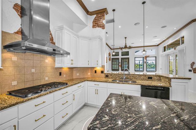 10706 RUFFINO COURT, Trinity, FL 34655