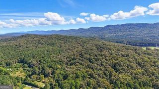 0 Maddox Lake Road, Summerville, GA 30747