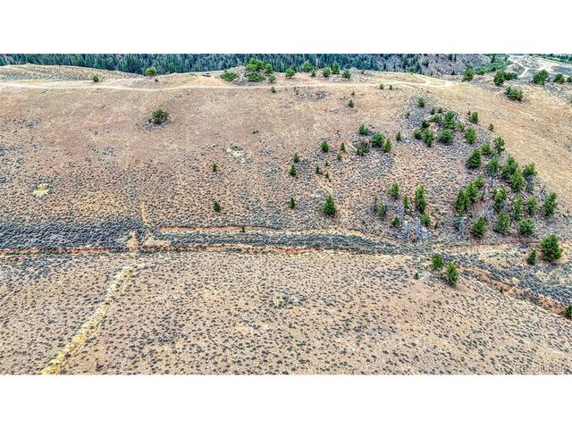 18829 County Road 397, Granite, CO 81251