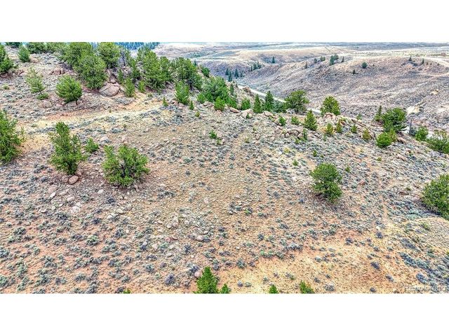 18829 County Road 397, Granite, CO 81251