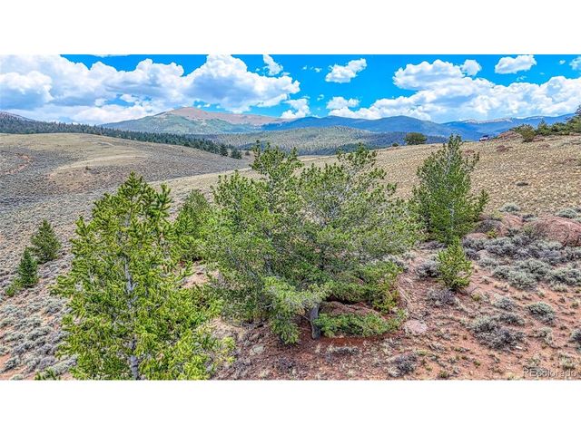 18829 County Road 397, Granite, CO 81251