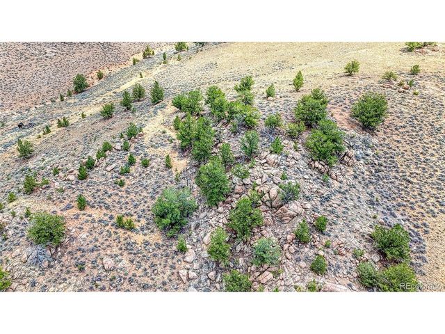 18829 County Road 397, Granite, CO 81251