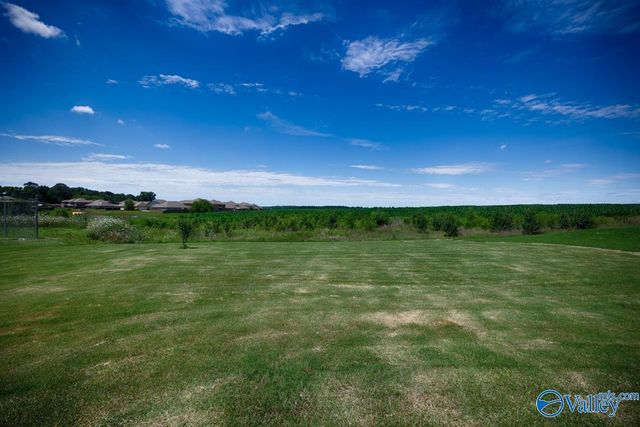 251 Holt Street, Meridianville, AL 35759