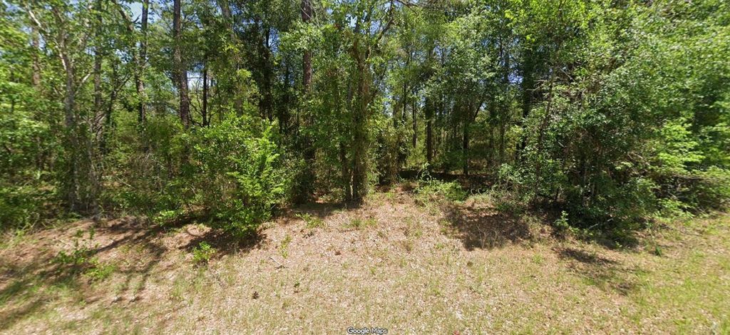 NW BUENA VISTA RD, Dunnellon, FL 34431
