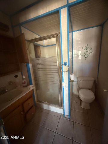 48 N STANSBERRY Avenue, Superior, AZ 85173