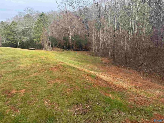 290 Coley Road, Glencoe, AL 35905